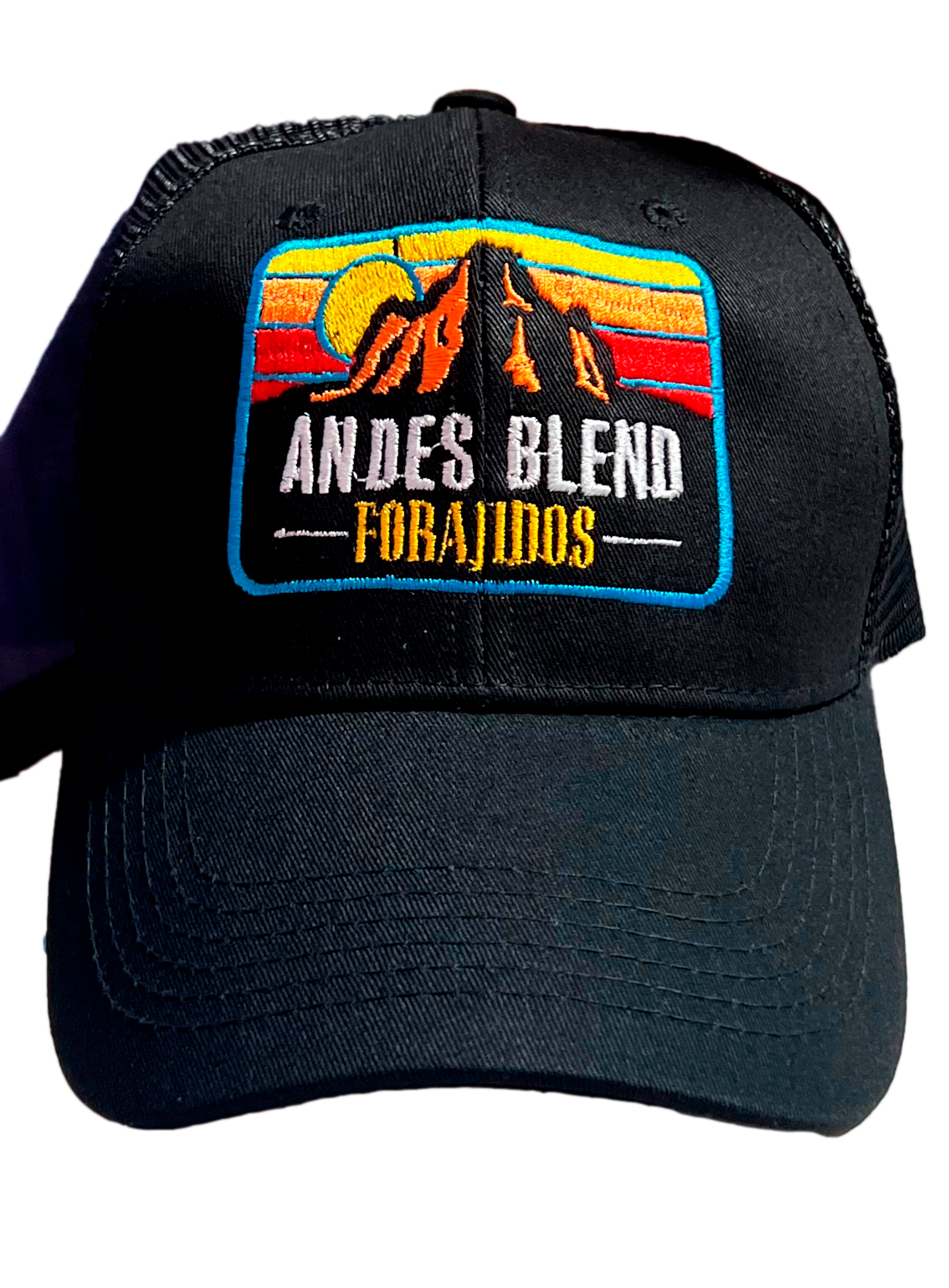Gorro Andes Blend
