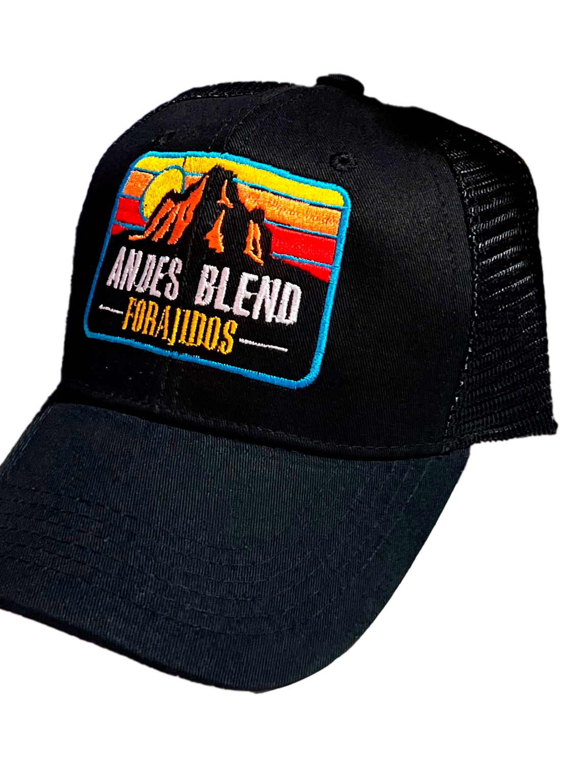 Gorro Andes Blend
